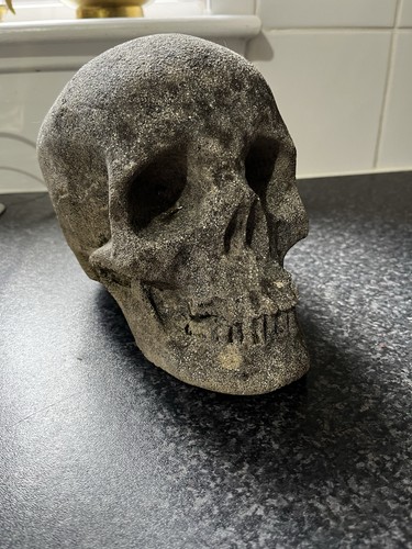 Human skull sculpture - human,