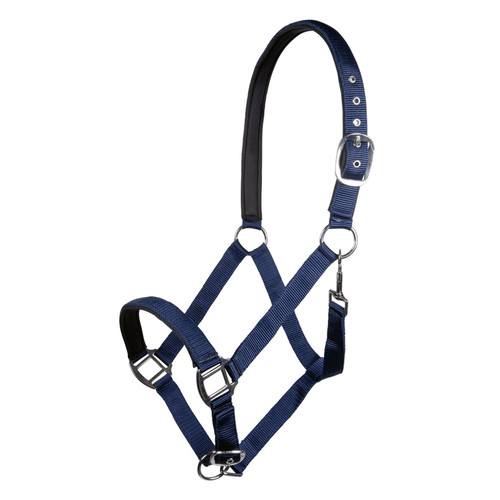 Hkm horse head collar - horse, charming