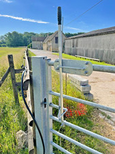 Equestrian horse friendly gate