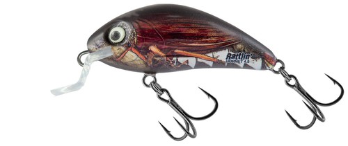 Salmo rattlin hornet shallow - salmo,