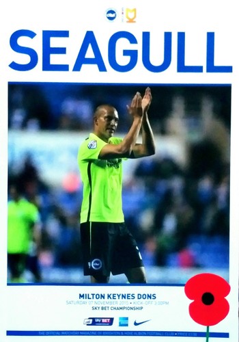 Brighton hove albion v - hove,