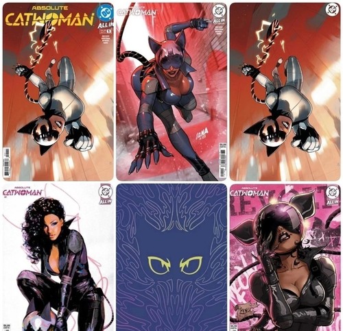 Absolute catwoman cvr b - catwoman,