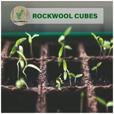 Rockwool Starter Plugs for
