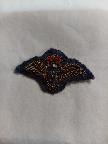 Raf pilot mess - pilot, wing