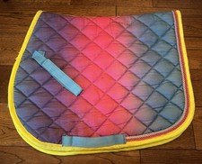 Sheldon Small Pony Rainbow