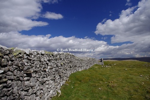Yorkshire dales dry - dry, stone