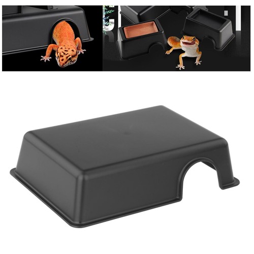 Reptile hiding box - box, gecko