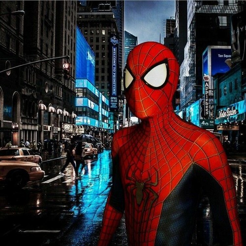 The amazing spider - the,