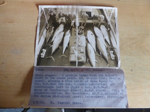 Vintage photograph tuna - vintage,