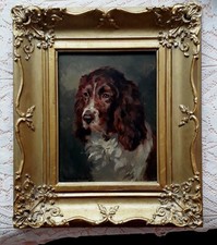 SPRINGER SPANIEL OIL ON BOARD