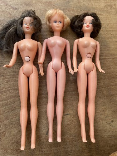 1960s palitoy tressy dolls - 1960s,