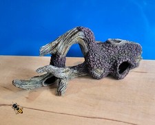 Driftwood Tree Root Mangrove