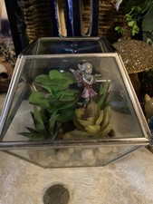 Succulents Aloes Artificial In
