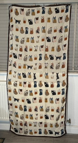 Cute cats ladies - cats,