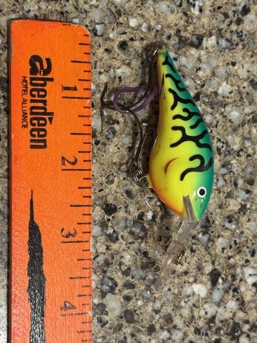 Rapala thug - dt, to)