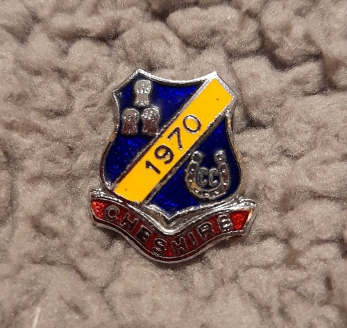Vintage enamel cheshire - enamel,