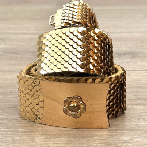 Vintage gold fish snake scale - fish,