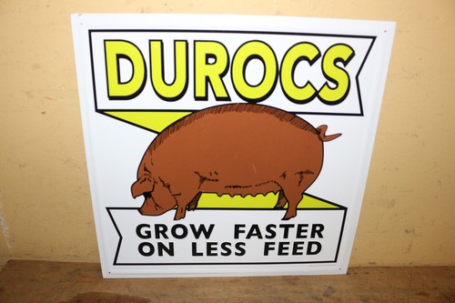 Vtg durocs pig hog feed - vtg,