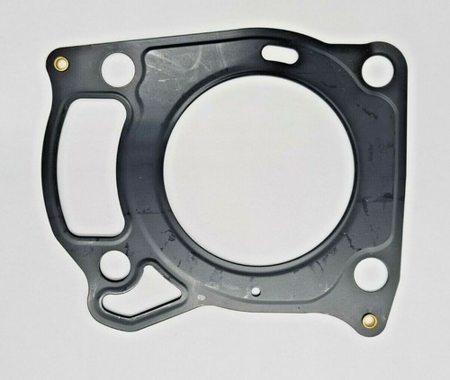 Cylinder head gasket for - head, hp