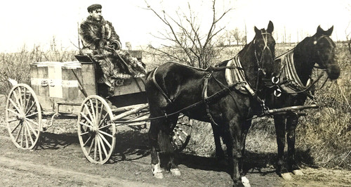 Antique vtg rppc photo horse - vtg,