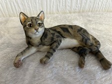 The Leonardo collection tabby