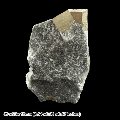 Pyrite cubes shale genuine - in,