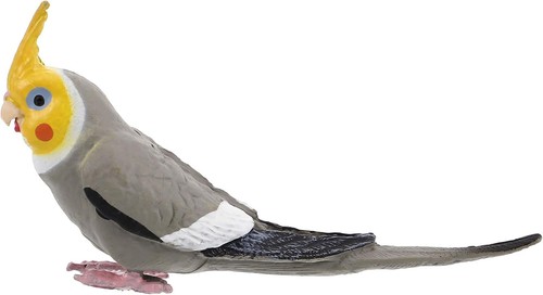 Ifundom realistic cockatiel - ifundom,