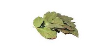 Bay leaf leaves -whole dried
