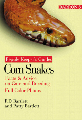 Corn snakes - snakes,