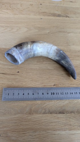 Two vintage loose horns - loose, for