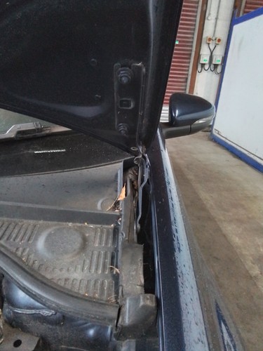 Bonnet hinge volkswagen - bonnet,