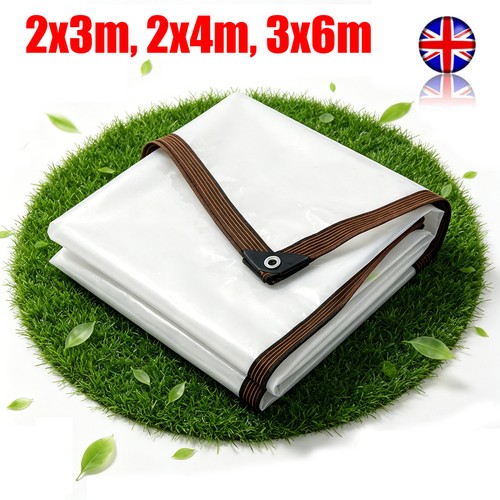 Transparent clear tarpaulin - clear,