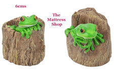 ~❤️~RAINFOREST TREE FROG