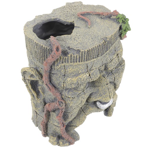 Bearded dragon cave creative - dragon,