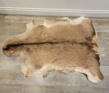 GIANT NATURAL RED DEER SKIN
