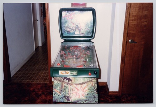 Vintage photo jungle fighter - vintage,
