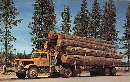 Postcard logging truck - postcard,
