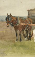 Horse In Rural Scene