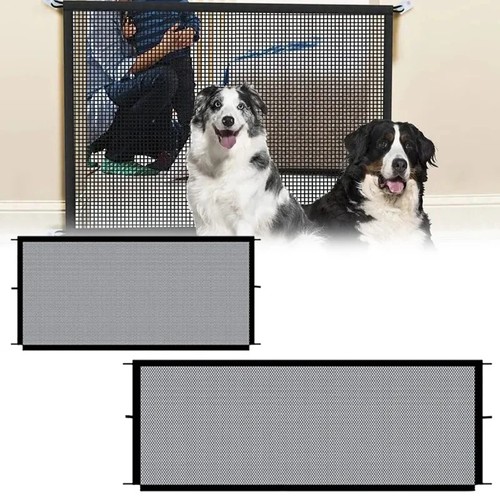 Folding pet dog car - pet,