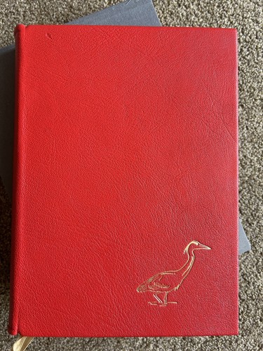 Signed magic the water alan - magic,