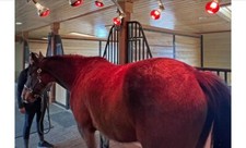 12 Lamp Solarium Silver Shadow