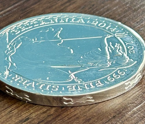 Horse privy 999 - privy,