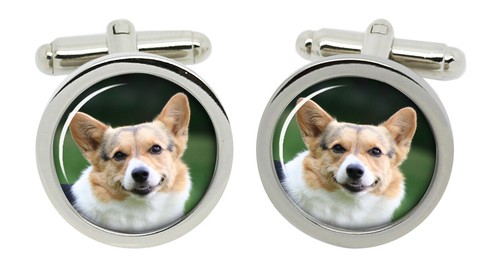 Cardigan welsh corgi - cardigan, cufflinks