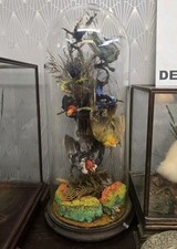 Antique Victorian Glass Dome