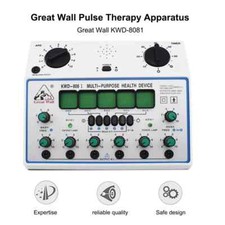 Electro Acupuncture Stimulator