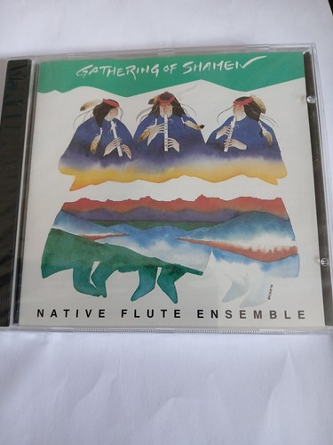 Native flute ensemble - native,