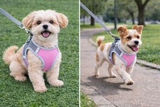 Dog Harness No Pull Fully