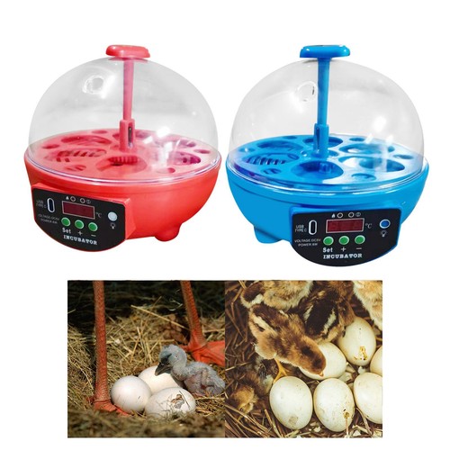 Eggs incubator automatic - incubator,