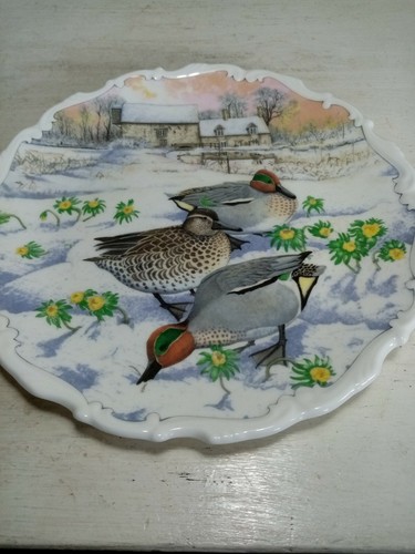 Royal albert bone china plate - royal,