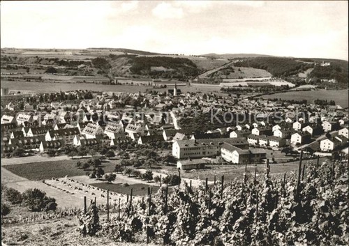 Hammelburg vineyards saaleck - hammelburg,